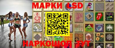 гидра Будённовск
